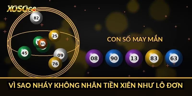 Vì sao nháy không nhân tiền xiên như lô đơn