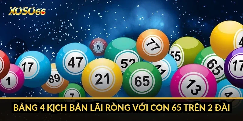 Cách tính tiền bao lô Xoso66: tiền vé, tiền thắng và lãi ròng 3 Bảng 4 kịch bản lãi ròng với con 65 trên 2 đài