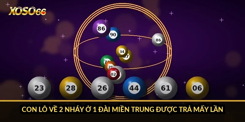 Con lô về 2 nháy ở 1 đài miền Trung được trả mấy lần?